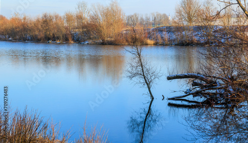 View over the Swan Lake with swans and water birds near Mering on a cold winter's day with a blue sky