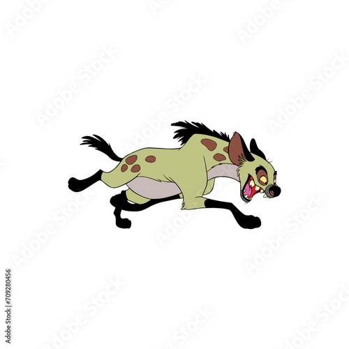 Hyena isolated on White Background. Genus Crocuta. Africa.