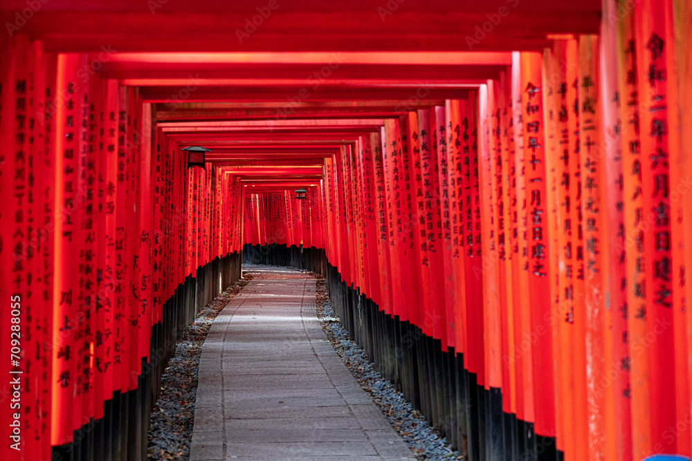 Fototapeta premium Fushimi Inari Taisha Torii Schrein der tausend Torii in Kyoto