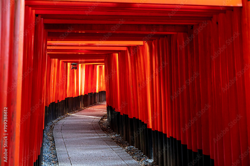 Fototapeta premium Fushimi Inari Taisha Torii Schrein der tausend Torii in Kyoto
