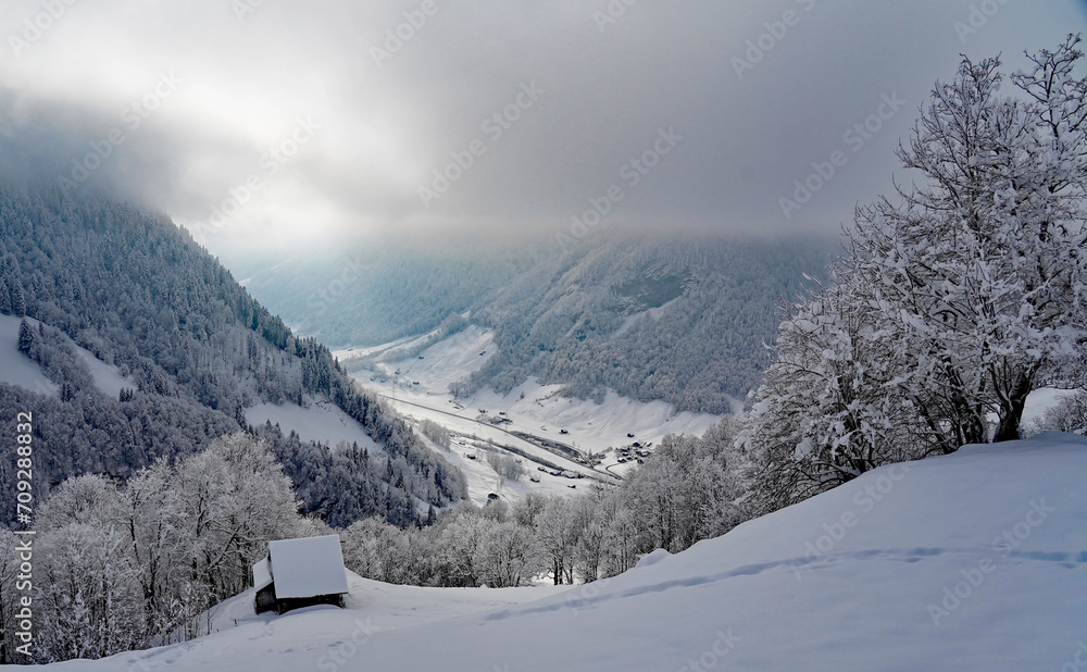 Fototapeta premium Winterstimmung mit Hochnebel
