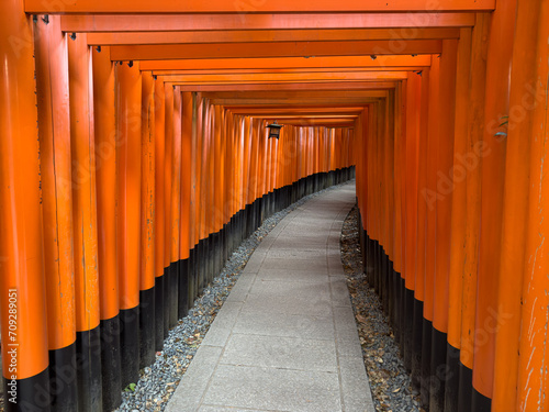 Fushimi Inari Taisha Torii Schrein der tausend Torii in Kyoto