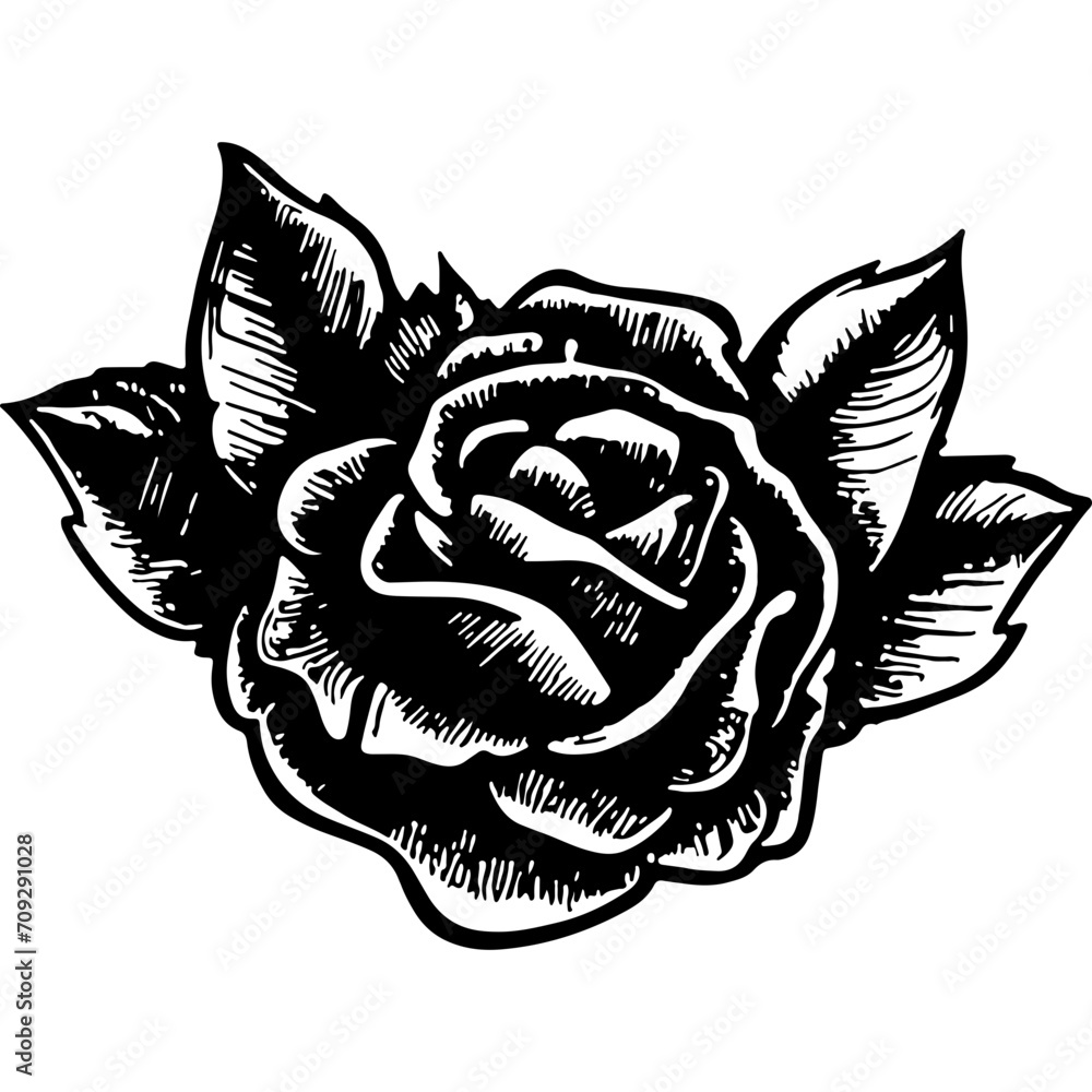 Black Rose Sketch