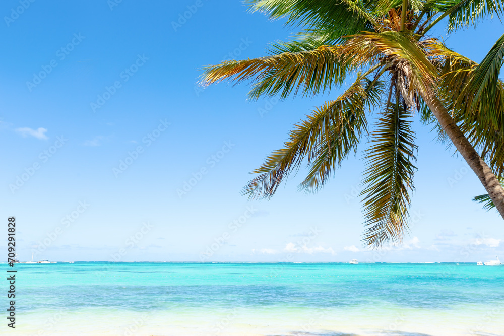 Bavaro beach in sunny day with calm ocean and white beach, Dominican republic Bavaro beach in sunny day with calm ocean and white beach, Dominican republic