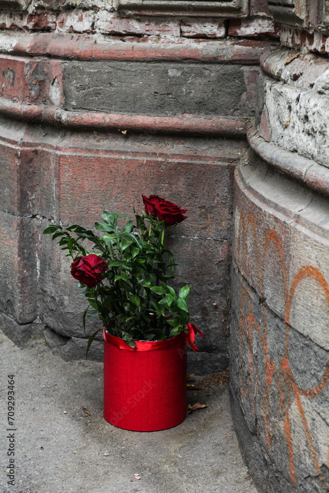 A red pot of flowers on the street near the wall of the house, side view, medium plan, daylight A red pot of flowers on the street near the wall of the house, side view, medium plan, daylight