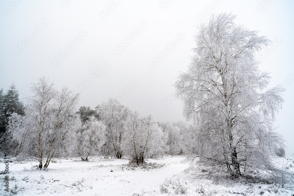 Nasskalter Winter in der Töpsheide