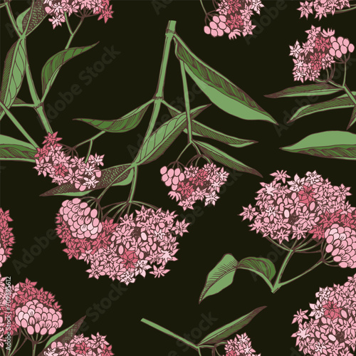 Swamp Milkweed Wildflower seamless dark
