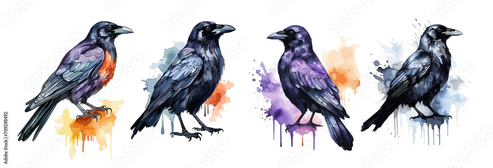 Black crows watercolor prints. Epic crow and colorful drops, isolated ...