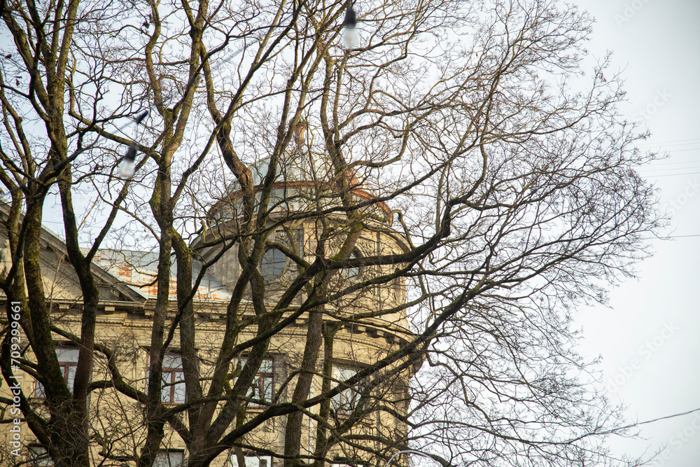 Riga in winter, view of an Art Nouveau building through a pattern of trees against a blue sky. Riga, Latvia. High quality photo Riga in winter, view of an Art Nouveau building through a pattern of trees against a blue sky. Riga, Latvia. High quality photo