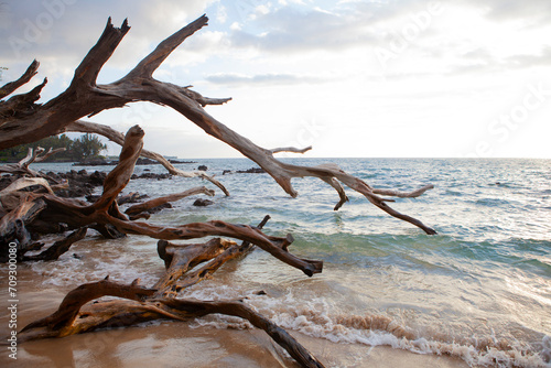 Beautiful beach, Kona Hawaii