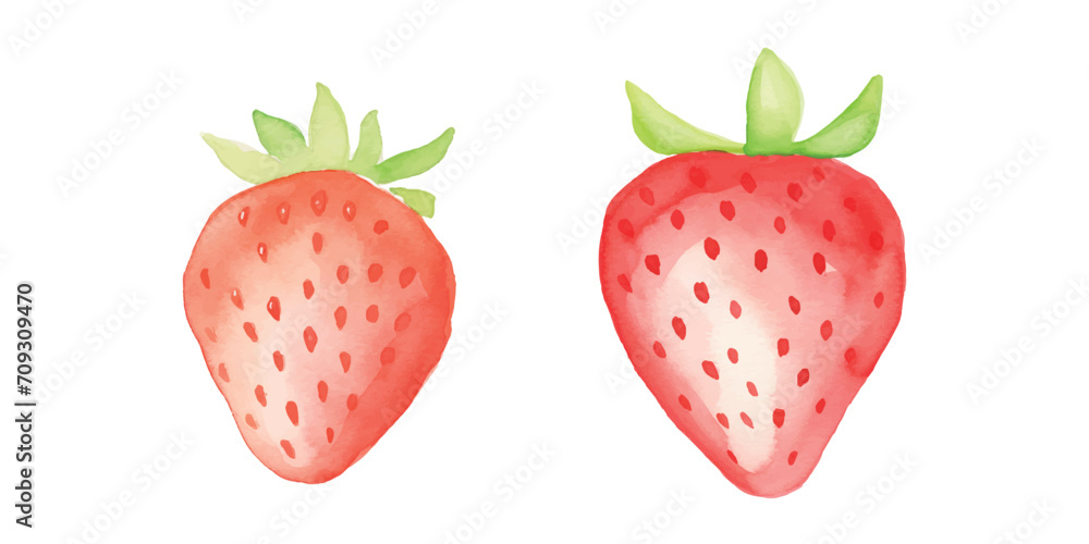 cute strawberry fruit watercolor white background