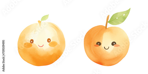cute orange fruit watercolor white background