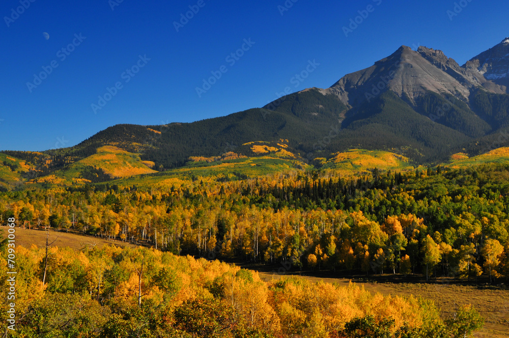 Spectacular fall colors carpet the slopes of the Sneffels Range of the San Juan mountains, as seen from a country road near Ridgway, Colorado, USA.