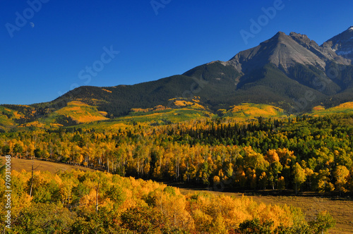 Spectacular fall colors carpet the slopes of the Sneffels Range of the San Juan mountains, as seen from a country road near Ridgway, Colorado, USA.