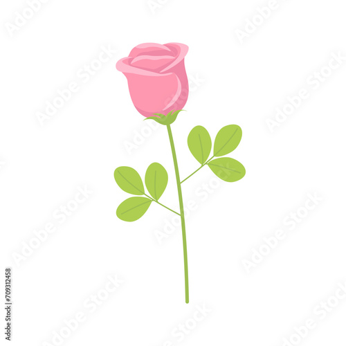 Pink rose flower stem with green leaves. Love symbol and gift for Valentine's day. Vector illustration isolated on white background. Detailed cartoon element for holiday patterns, packaging, designs