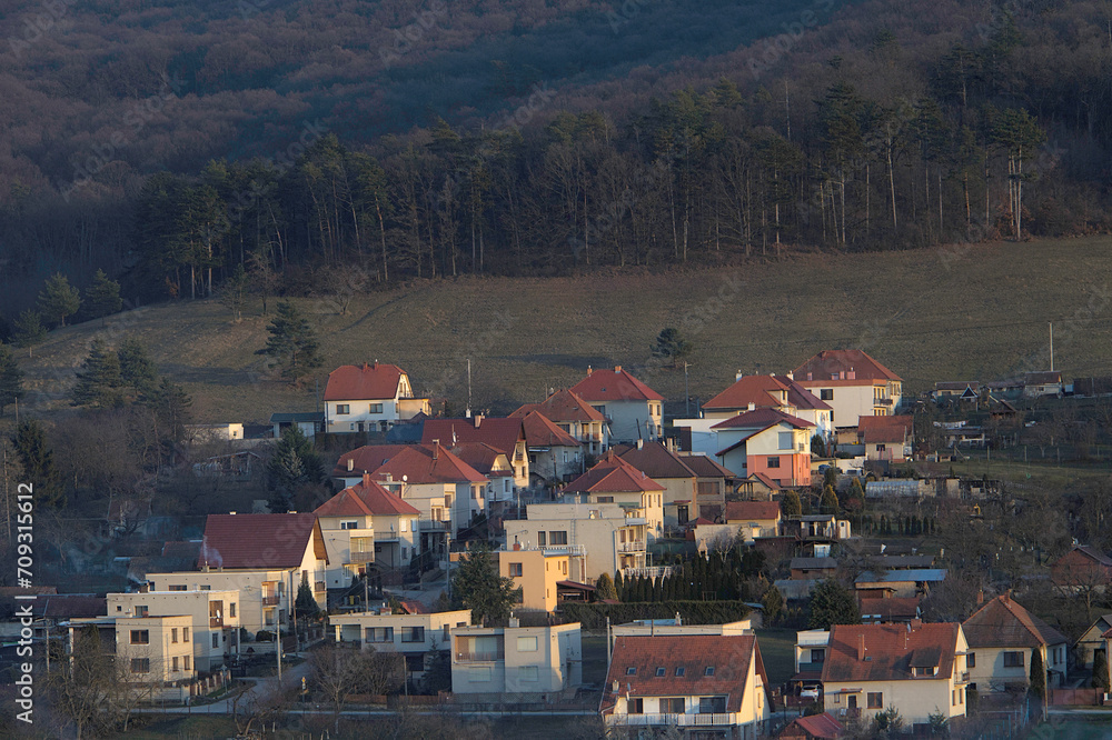 Fototapeta premium village with forest and meadow photographed at sunset