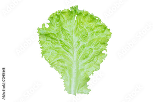 Lettuce. Salad leaf isolated on transparent background.