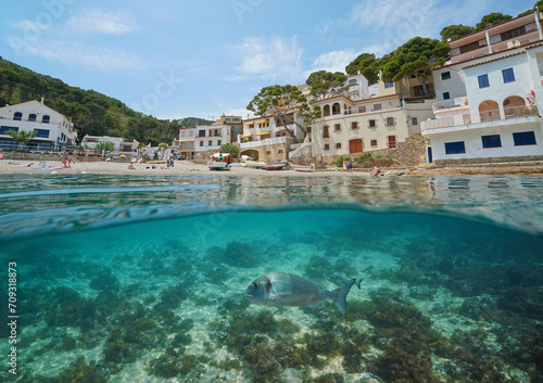Spain, Mediterranean village on the sea shore with fish underwater, split view half over and under water surface, natural scene, Costa Brava, Sa Tuna, Begur, Catalonia