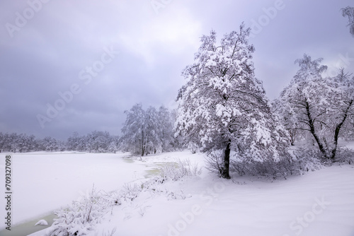 Fairytale winter landscape, dramatic sky over a snow-covered lake, pine tree covered with snow © Sergei