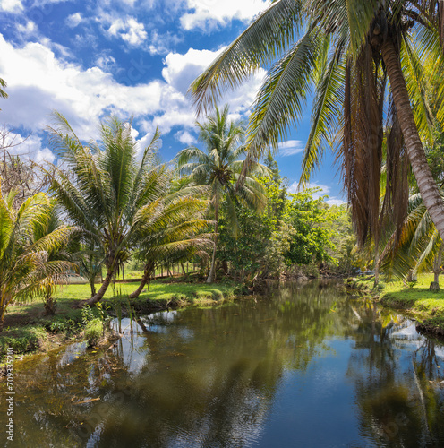 Criadero de Cocodrilos  - a farm of the crocodiles in Cuba