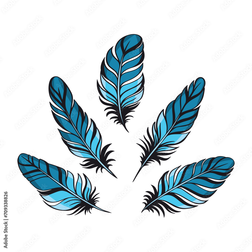 Set of bird fluffy feathers. Vintage style elements. Vector collection.