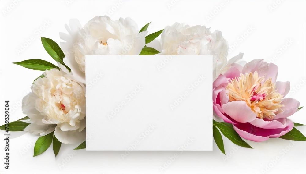 greeting or invitation blank card and peony flowers