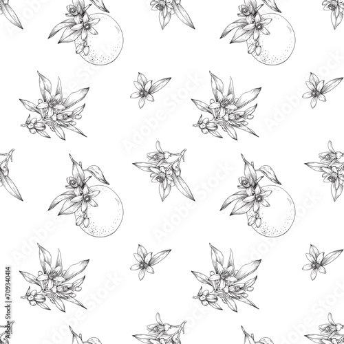 Neroli flowers bouquet and orange Vector seamless pattern. Citrus flowers branch. Hand drawn botanical illustration. Cosmetic, perfumery and medicinal plant.