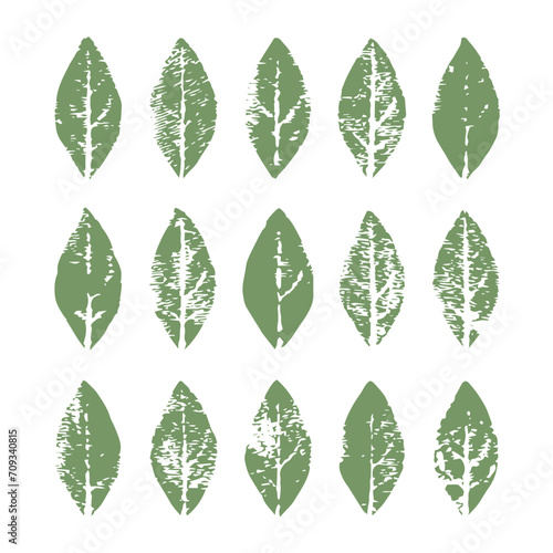 Blätter gestempelt photo