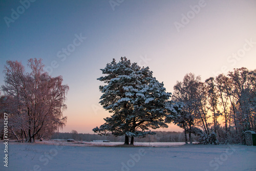 winter sunrise