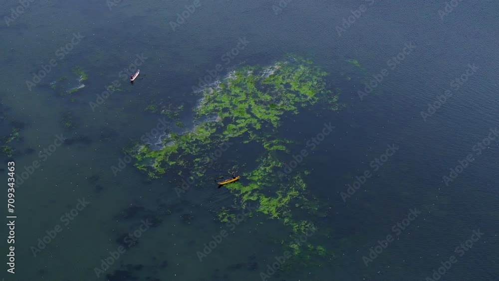 Aerial Panning Scenic Shot Of Outriggers Moving In Lake With Green Plants - Arugam Bay, Sri Lanka Aerial Panning Scenic Shot Of Outriggers Moving In Lake With Green Plants - Arugam Bay, Sri Lanka