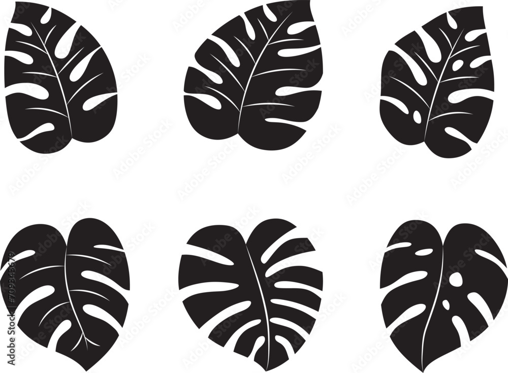 Silhouette of monstera leaves collection. EPS 10 - obrazy, fototapety, plakaty 
