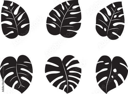 Silhouette of monstera leaves collection. EPS 10