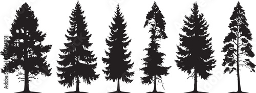Set Trees. Hand drawn vector illustration photo