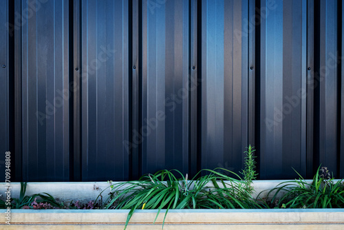 potted plants against corrugated metal wall outdoor