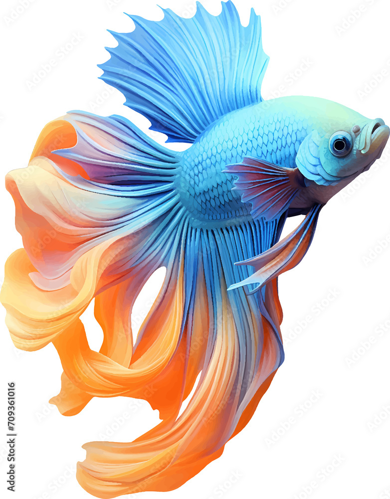Obraz premium Colorful bushy tailed betta fish on transparent background