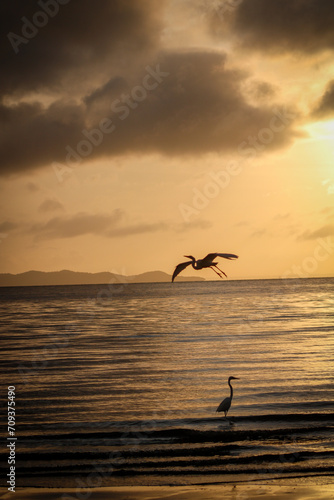 sunset in the sea