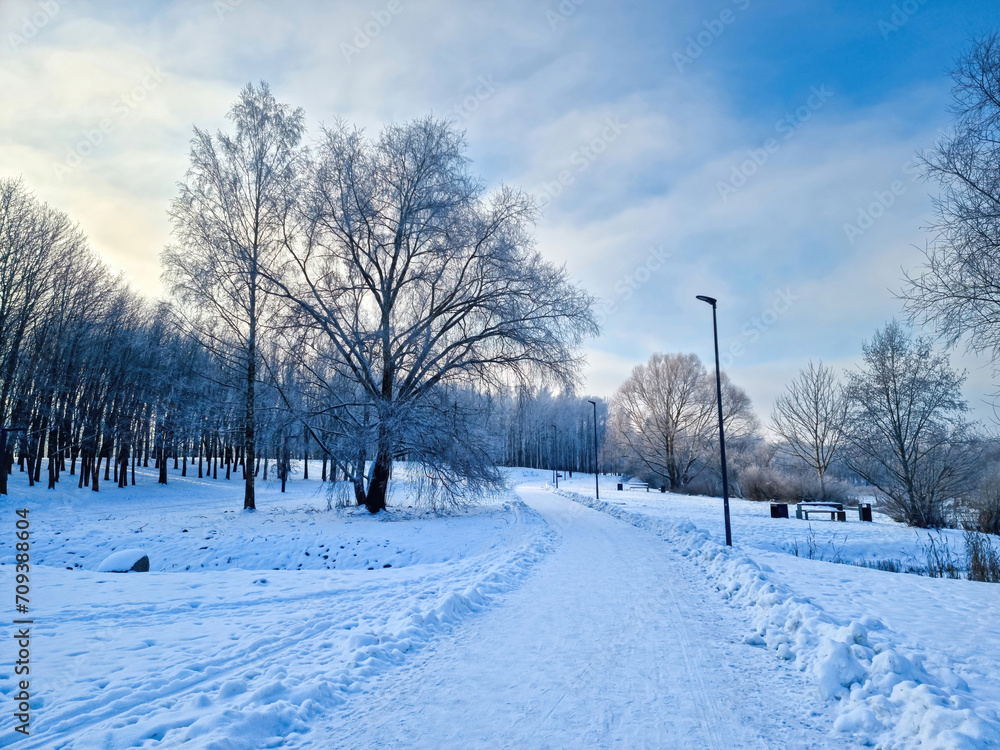 Fototapeta premium Cold winter day at sunny day - walk path in Panevezys park Lithuania