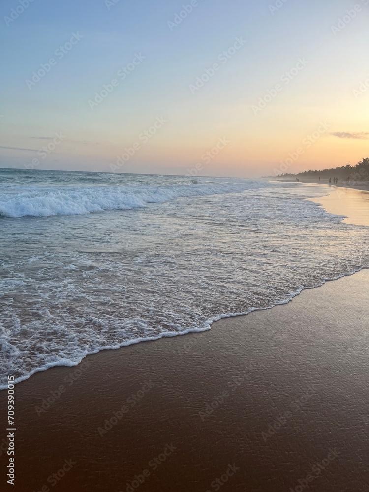 Fototapeta premium sunset on the beach