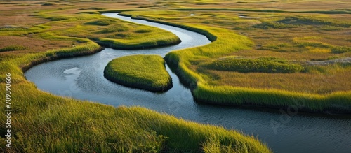 Meandering channels flow through a salt marsh in Pleasant Bay, Cape Cod, Massachusetts. Marshes are wetlands that provide habitats for fish, invertebrates, and various bird species.