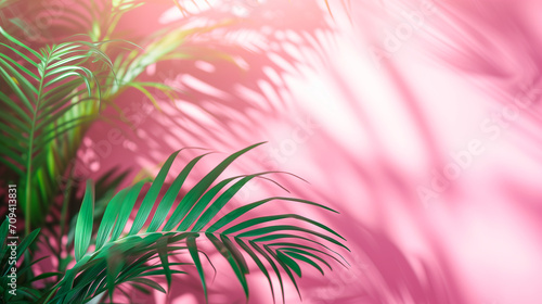 Blurred shadow from palm leaves on the light pink wall