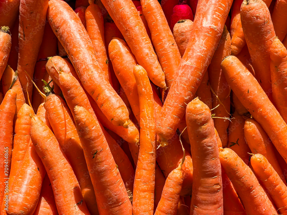 Pile of fresh bio organic carrots patterned background, copy space in full frame viewed from above. Sunlight falling on vegetable texture, top view. Harvesting orange vitamin food. Pile of fresh bio organic carrots patterned background, copy space in full frame viewed from above. Sunlight falling on vegetable texture, top view. Harvesting orange vitamin food.