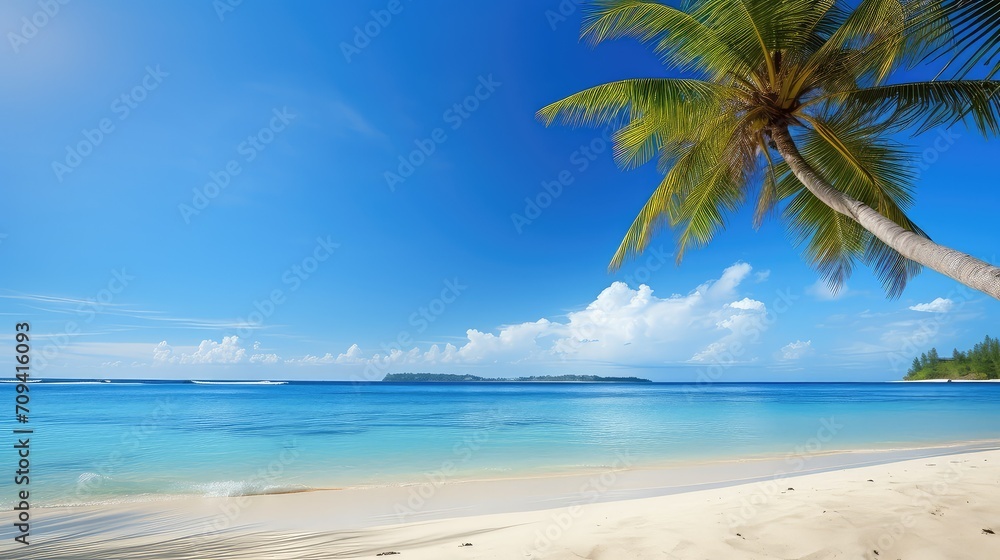 ocean beach summer background illustration vacation paradise, tropical seashells, palm shells ocean beach summer background