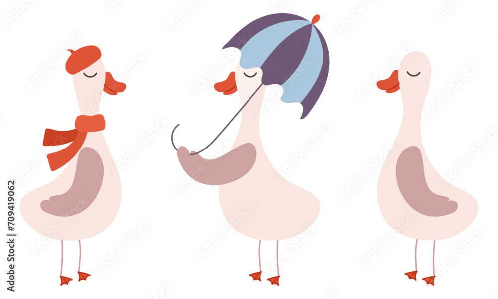 Vector illustration of a set of cute geese with umbrella and scarf