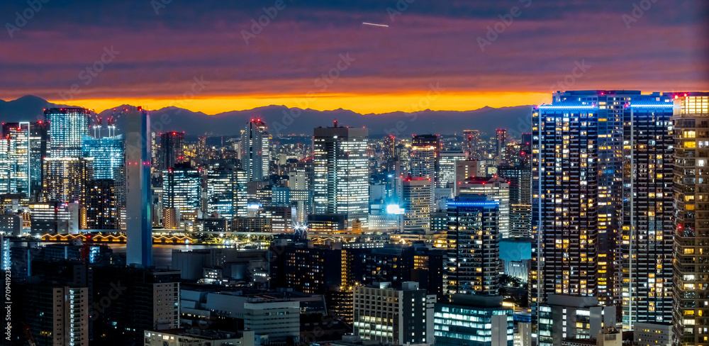 Naklejka premium Odaiba and Tokyo Bay, Tokyo, Japan