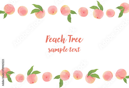 桃・ピーチの横ラインフレームイラスト
