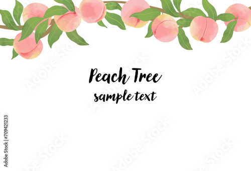 水彩風のモモの横ラインフレームイラスト
