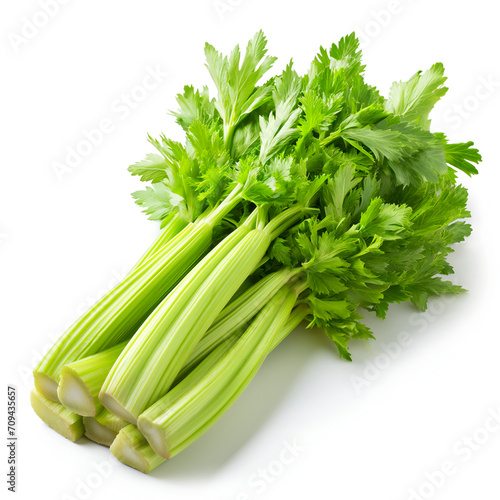celery isolated on white