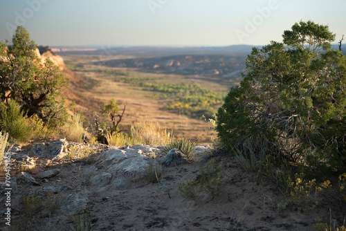 A Juniper Observer