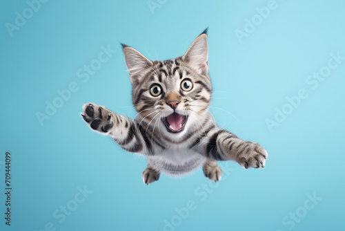 Funny cat flying or jumping mid-air, isolated on blue background.