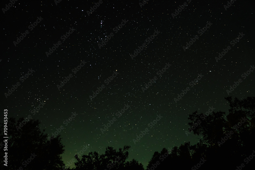 Green-blue sky filled with stars and tree shadows.